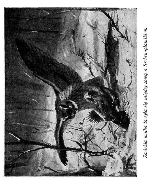 fragment